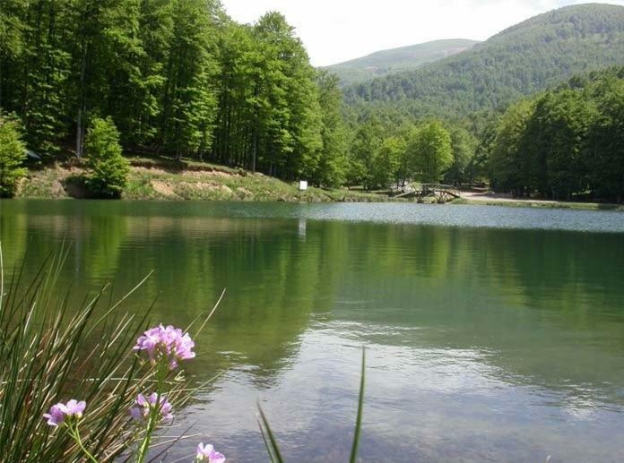 Gite Botiga Saint-Jean-le-Vieux  Exteriör bild